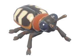 Asparagus Beetle - insect species from Heartopia