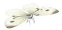 Cabbage White - insect from Heartopia