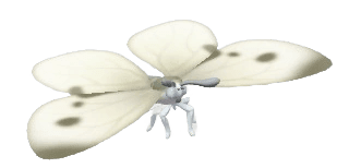 Cabbage White - insect from Heartopia