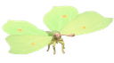 Common Brimstone - insect from Heartopia