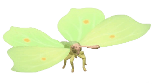 Common Brimstone - insect from Heartopia