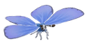 Common Blue Butterfly - insect from Heartopia