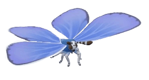 Common Blue Butterfly - insect from Heartopia