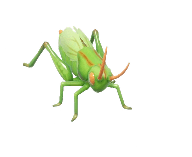 Katydid - insect from Heartopia