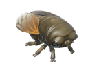 Cicada - insect from Heartopia