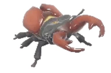 Rainbow Stag Beetle - insect from Heartopia